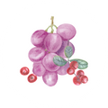 Cranberry Grape