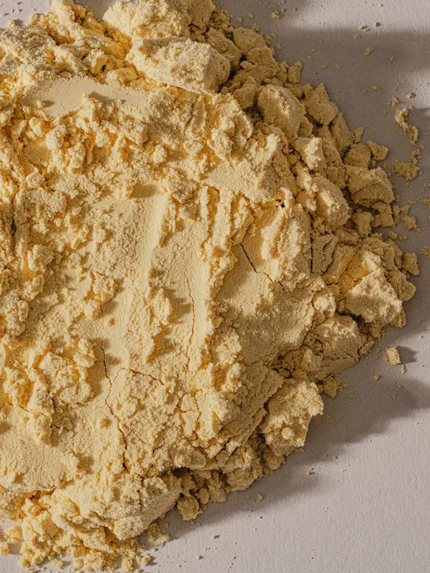A close-up of a mound of vegan vanilla powder on a light gray surface.
